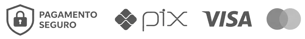 Pagamento seguro. Formas aceitas: Pix, Visa e Mastercard.